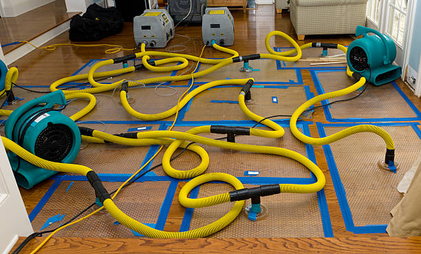 Professional Storm Water Damage Restoration technician working in Humboldt, TN